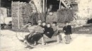 Allegnidis