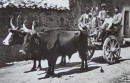 Intra Montes
